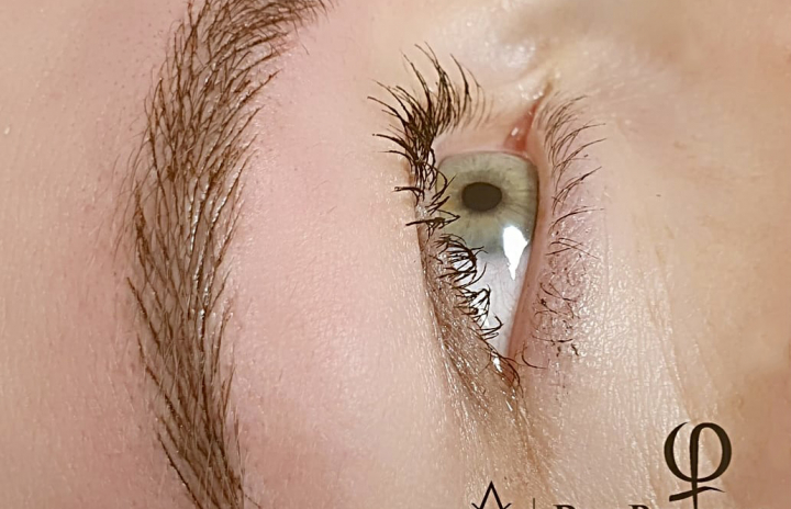 PhiBrows